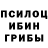 Псилоцибиновые грибы Cubensis PlayStation Elite